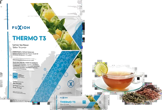 THERMO T3